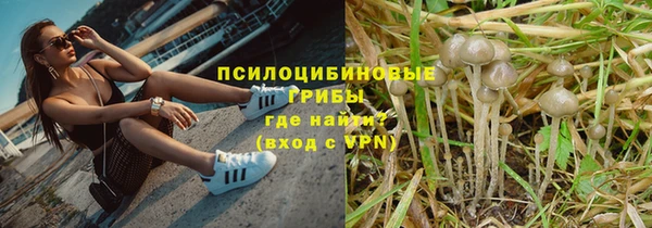 прущая мука Медвежьегорск