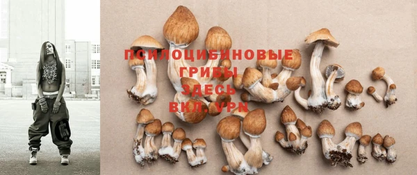 прущая мука Медвежьегорск