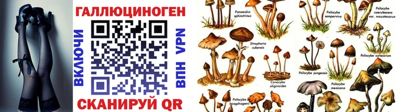 Галлюциногенные грибы MAGIC MUSHROOMS  Голицыно 