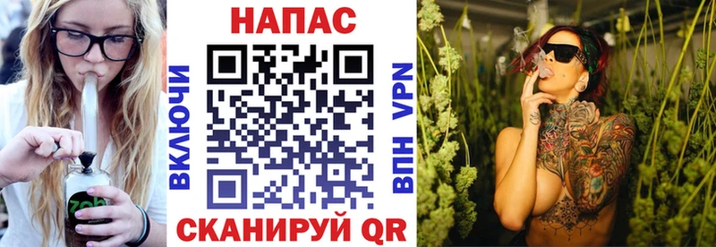 MEGA как зайти  Голицыно  Каннабис индика 